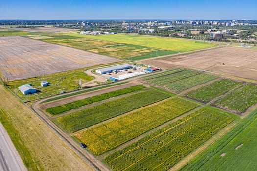 Hovering over the University of Saskatchewan, this drone image captures the campus' architectural splendor, and the flowing South Saskatchewan River, framing a legacy of education and innovation.