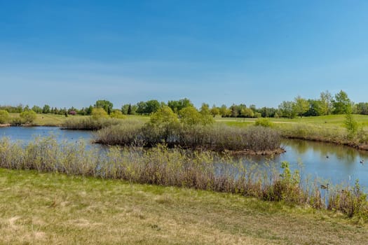 Lakewood Park is located in the Wildwood neighborhood of Saskatoon.