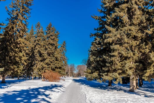 President Murray Park is located in the Varsity View neighborhood of Saskatoon.