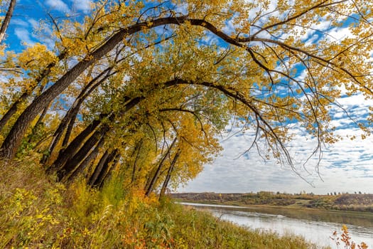 Meewasin Park is located in the Lawson Heights neighborhood of Saskatoon.