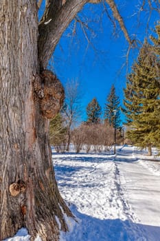 Buena Vista Park is located in the Buena Vista neighborhood of Saskatoon.