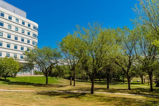 Kinsmen Park is located in the City Park neighborhood of Saskatoon.