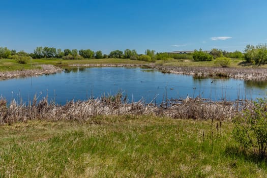 Lakewood Park is located in the Wildwood neighborhood of Saskatoon.