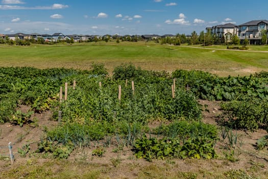 Al Anderson Park is located in the Hampton Village neighborhood of Saskatoon.