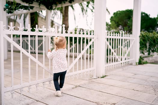 Little girl stands holding on to the bars of a metal fence in the park and looks into the distance. Back view. High quality photo