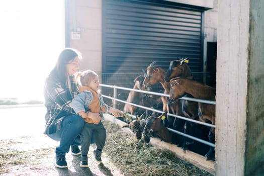 Smiling mother squats with little girl and feeds hay to goats over paddock fence. High quality photo
