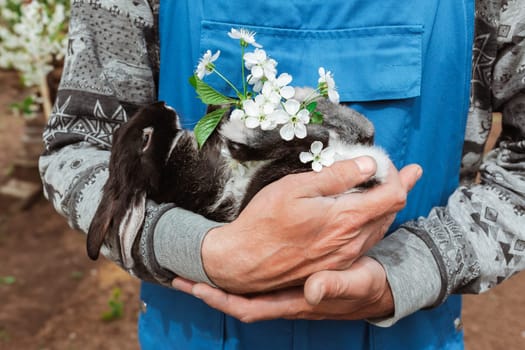 The rabbit is lying in the arms of a man in overalls