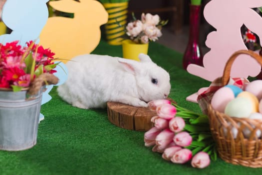 The Easter bunny is lying on a tree stump in horizontal orientation with selective focus