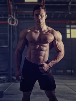 Muscular, shirtless young man resting in gym during workout, showing muscular torso, pecs and abs, looking at camera