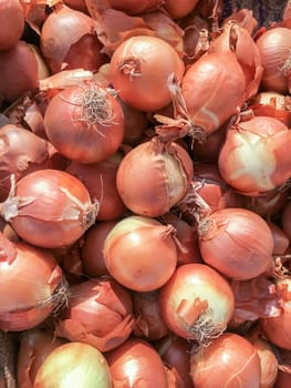 Close-up of fresh golden onions. Backgrounds and concepts.