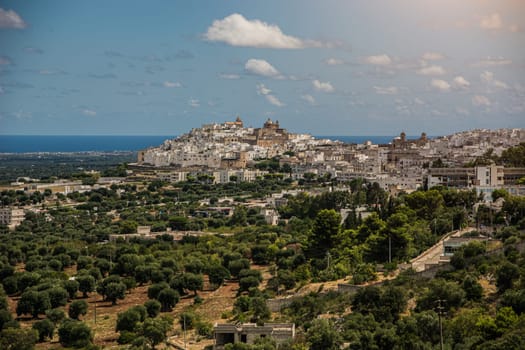 A view of Ostuni, Italy, the White City nestled on a hill overlooking the Adriatic Sea in Puglia, Italy. The photo shows a row of white buildings sitting on top of a hill, with the Adriatic Sea in the distance. The buildings are all different shapes and sizes, but they are all painted white, which gives the town its unique appearance.