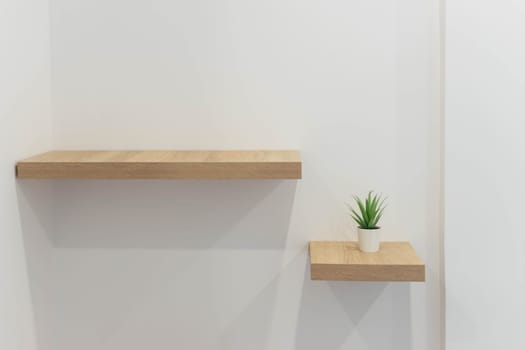 white wall indoors, two brown wooden shelves hang on the wall, one is long, the other is short and there is a green flower on it, close-up. High quality photo