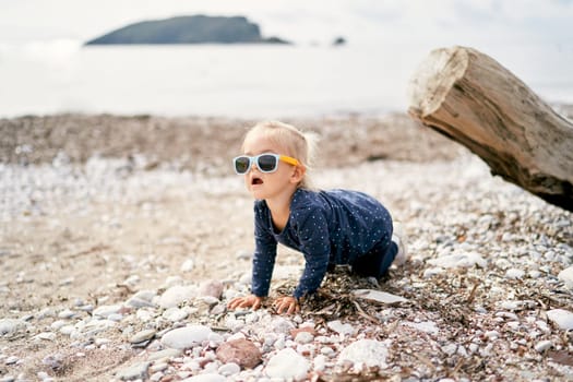 Little girl in sunglasses crawls along a pebble beach near a driftwood. High quality photo