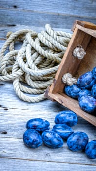 Ripe blue plums in a wooden crate in a rustic composition.