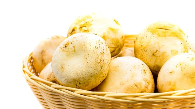 Fresh champignons, champignon mushrooms in wicker basket isolated