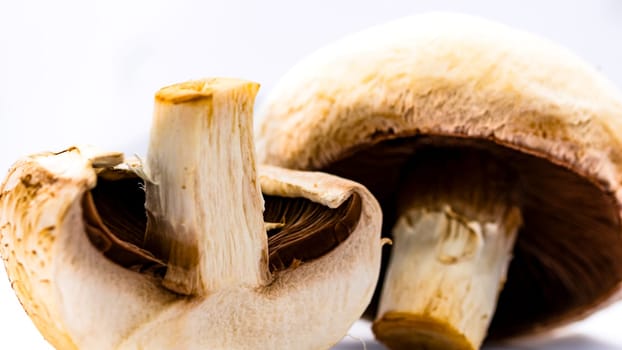 Fresh champignons, champignon mushrooms, close-up, isolated