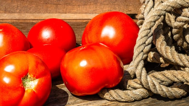 Close up of fresh ripe tomatoes isolated in a rustic composition,