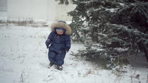 A small child stands near the fir trees in the snow. A boy in a down overalls plays in the snow in the park. 4k