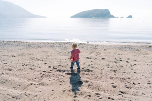 Little girl walks along the sandy beach near the sea. Back view. High quality photo
