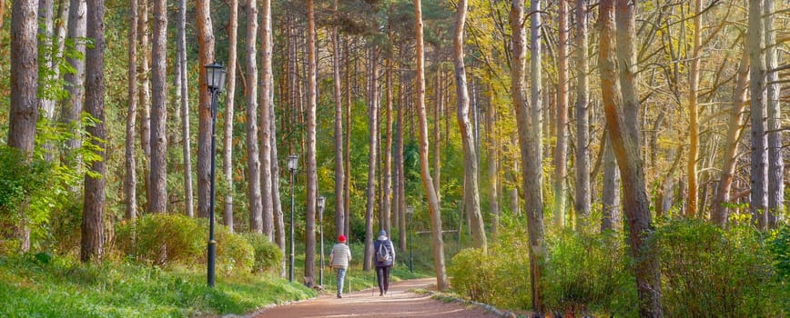 An elderly couple walks in the autumn park.