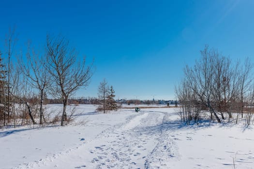 Donna L. Birkmaier Park is located in the Briarwood neighborhood of Saskatoon.