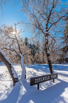 Idylwyld Park is located in the Nutana neighborhood of Saskatoon.