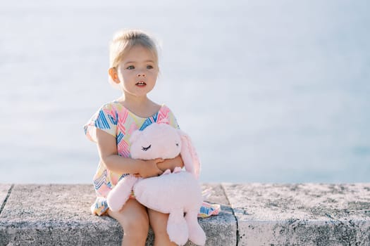 Little girl with a pink plush rabbit in her hands sits on a fence and says something. High quality photo