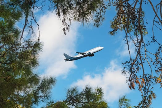 Airplane flying above the forest, bottom view