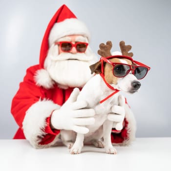 Santa claus and santa's helper in sunglasses on a white background. Jack russell terrier dog in a deer costume.