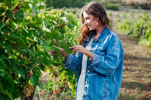 woman in denim clothes in vineyards walk nature