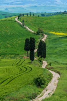 Path to hill house through cypress trees and sunrise view of stunning rural landscape of Tuscany, Italy