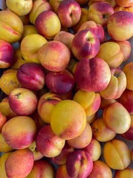 a lots of ripe peach nectarines healthy food fruits as background
