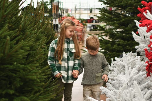 A family looking for a Christmas tree at the market