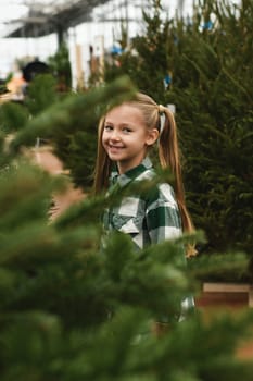 Small girl chooses a Christmas tree at the market.
