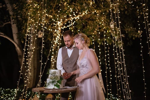 newlyweds happily cut, laugh and taste the wedding cake