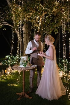 newlyweds happily cut, laugh and taste the wedding cake