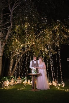 newlyweds happily cut, laugh and taste the wedding cake