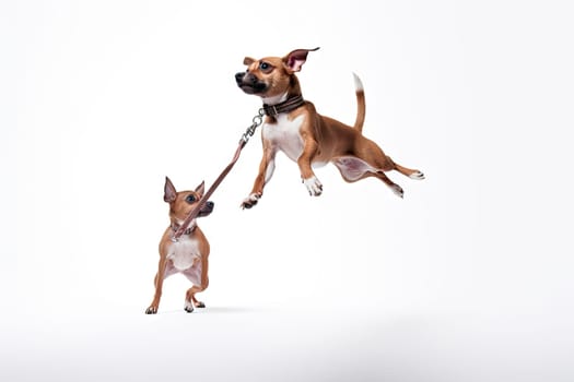 A Playful Battle: Two Dogs Engaged in an Energetic Tug of War Created With Generative AI Technology