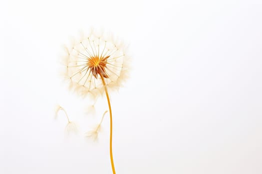 A Graceful Dandelion Dancing in the Breeze Against a Serene, Pure White Background Created With Generative AI Technology