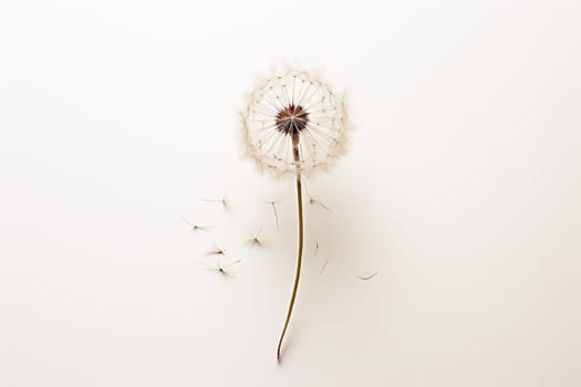 A Solitary Dandelion: Graceful, Delicate, and Resilient in Its Simplicity Created With Generative AI Technology