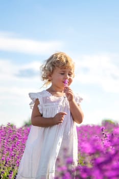 Child in a lavender field. Selective focus. Nature.