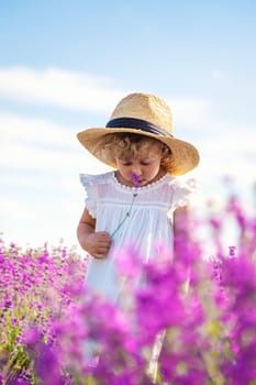 Child in a lavender field. Selective focus. Nature.