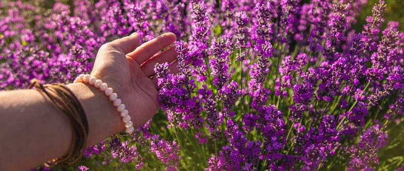 Woman in a lavender field. Selective focus. Nature.