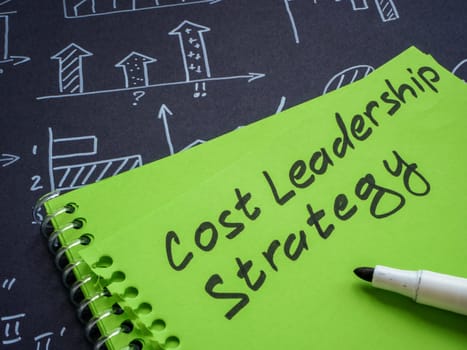 Cost leadership strategy and business charts.
