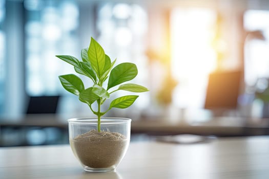 A Tranquil Oasis: A Small Potted Plant Brings Nature Indoors and Elevates the Table's Aesthetics