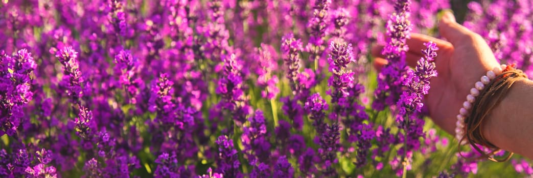 Woman in a lavender field. Selective focus. Nature.