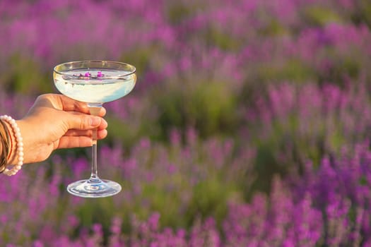 A woman drinks wine in a lavender field. Selective focus. Nature.