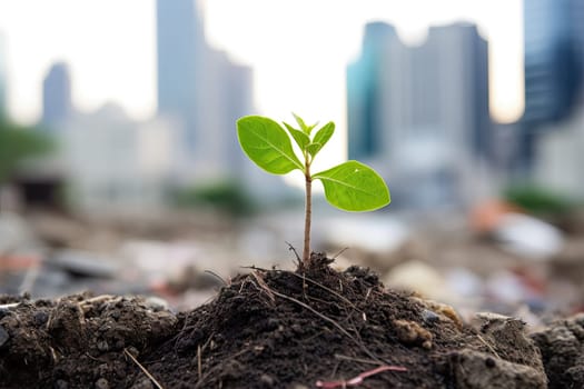 A Delicate Sprout Emerges from the Earth, Symbolizing New Life and Growth