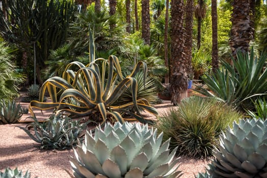 Peaceful park in the Nouvelle Ville of Marrakech, Morocco