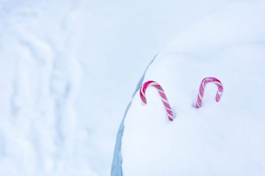 Two lollipops sticking out of a snowdrift against the backdrop of a blurry winter landscape. Place for inscription